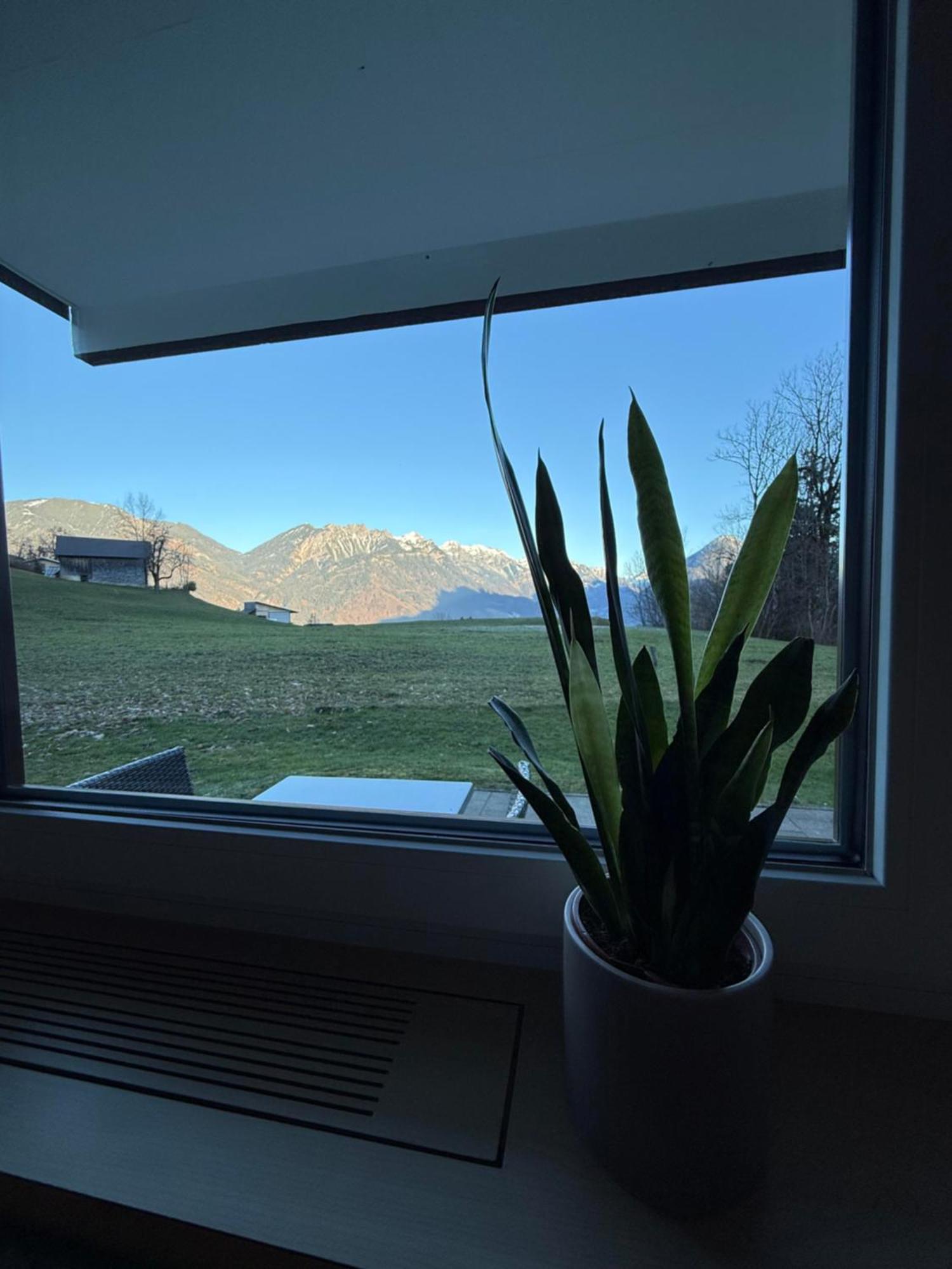 Bergnest Brandnertal Apartment Bürserberg Екстериор снимка